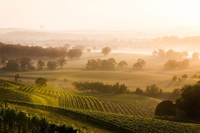landscape view of The Hunter Valley