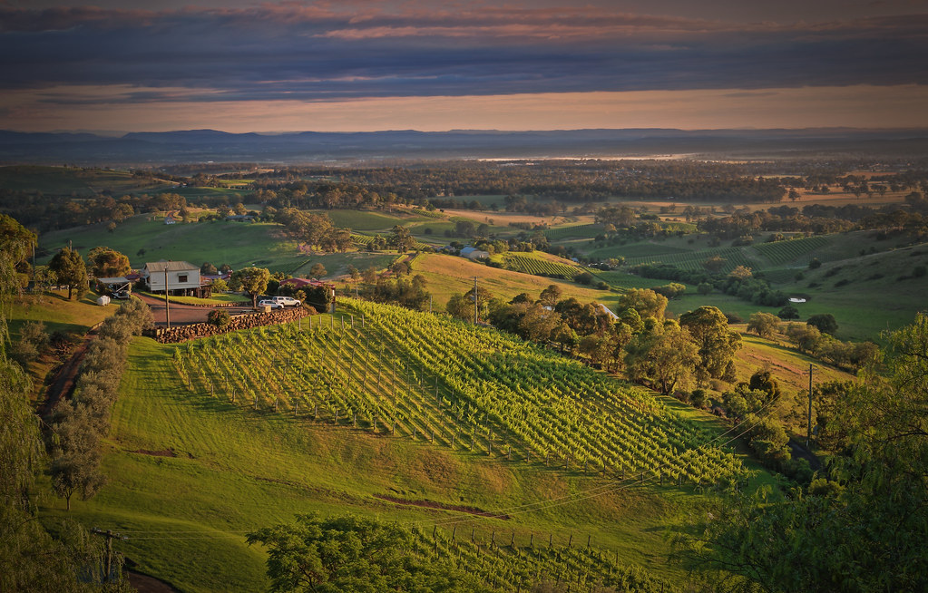 live in hunter valley nsw rolling hills
